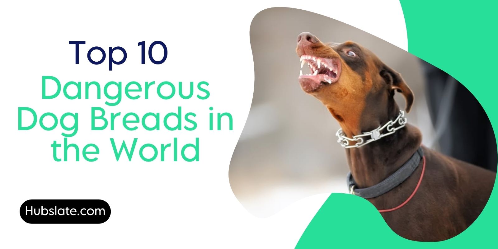 Dangerous Dog Breads in the World