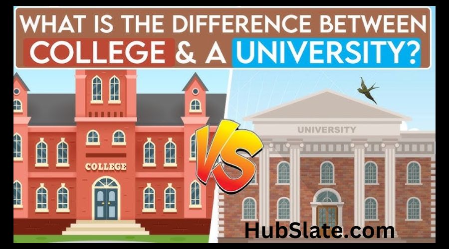 What is the Difference between College and University